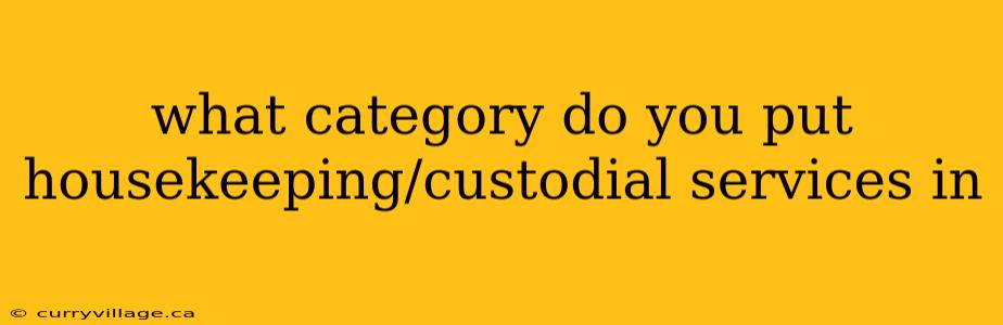 what category do you put housekeeping/custodial services in