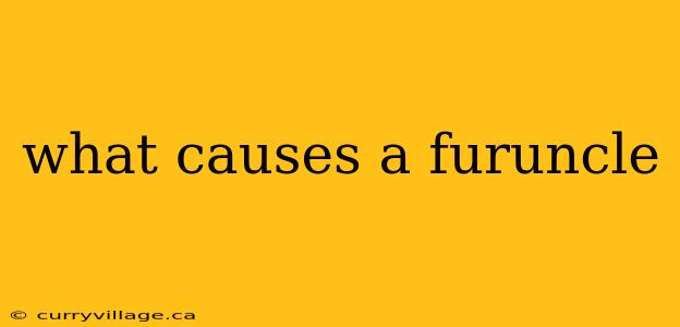 what causes a furuncle