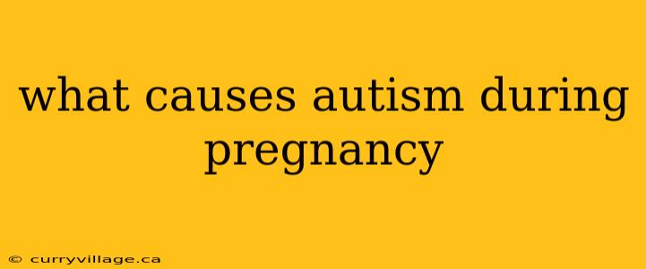 what causes autism during pregnancy
