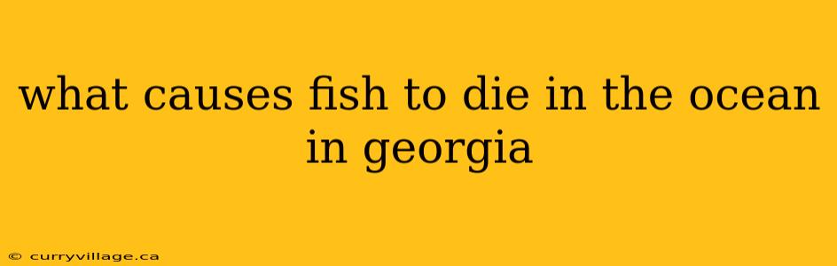 what causes fish to die in the ocean in georgia