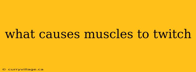 what causes muscles to twitch