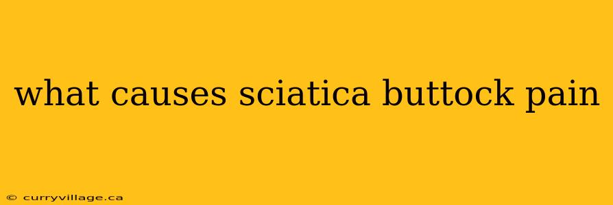 what causes sciatica buttock pain