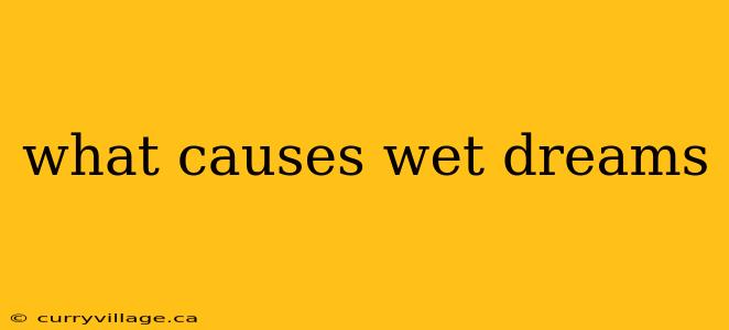 what causes wet dreams
