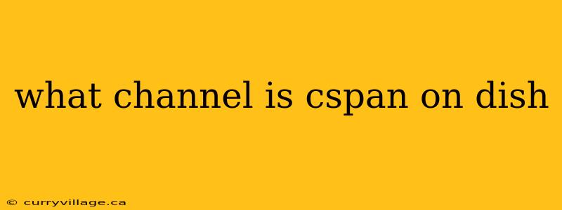 what channel is cspan on dish