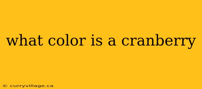what color is a cranberry