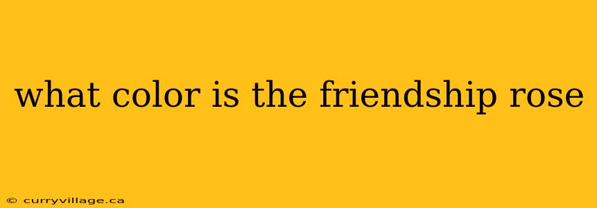 what color is the friendship rose