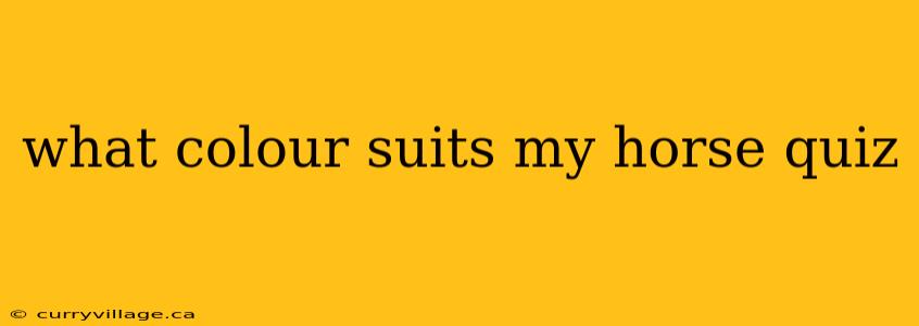 what colour suits my horse quiz