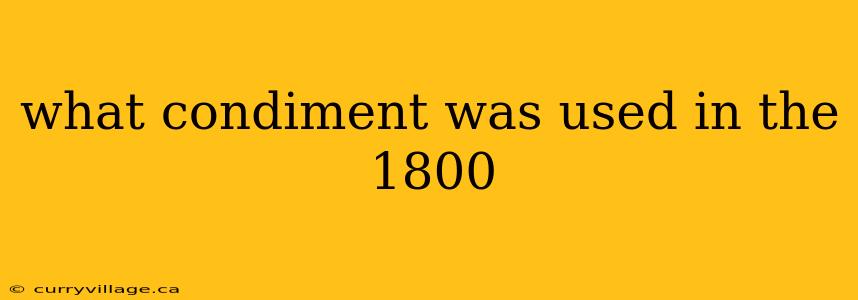 what condiment was used in the 1800