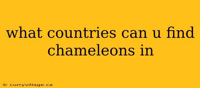 what countries can u find chameleons in