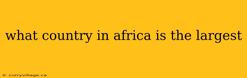 what country in africa is the largest