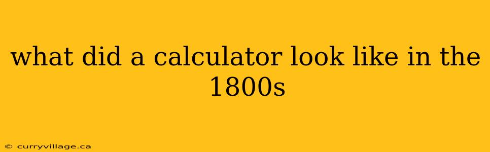 what did a calculator look like in the 1800s