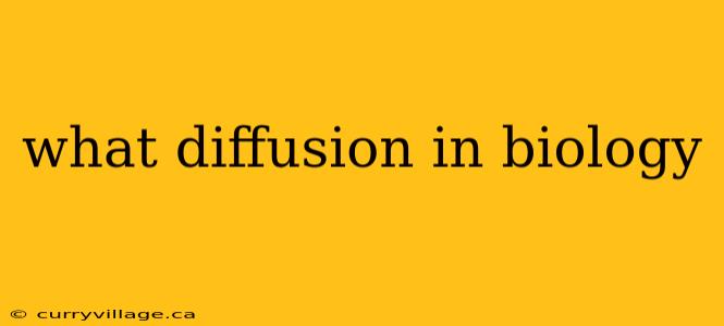 what diffusion in biology