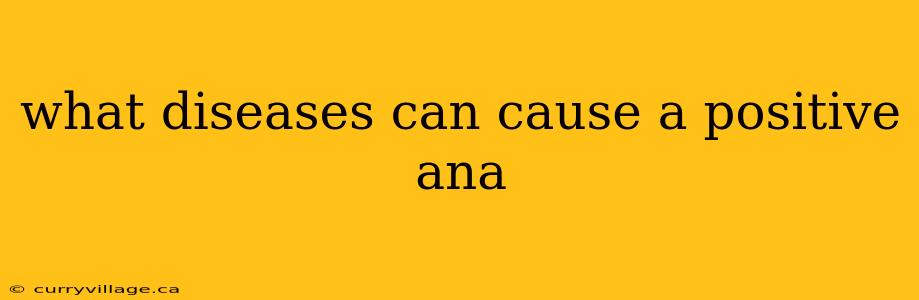 what diseases can cause a positive ana