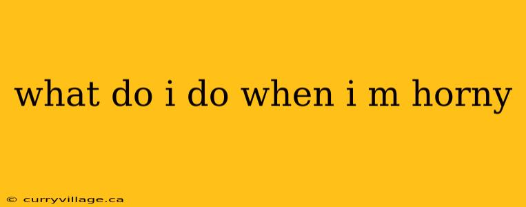 what do i do when i m horny