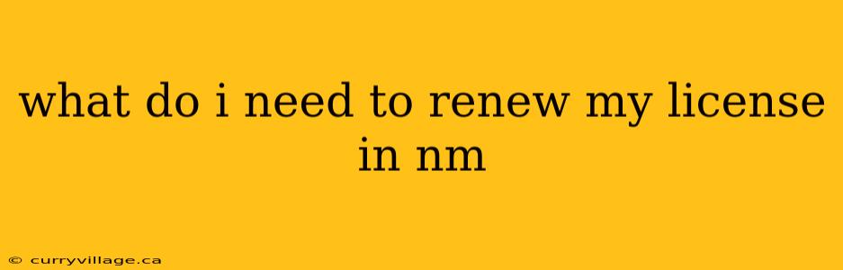 what do i need to renew my license in nm