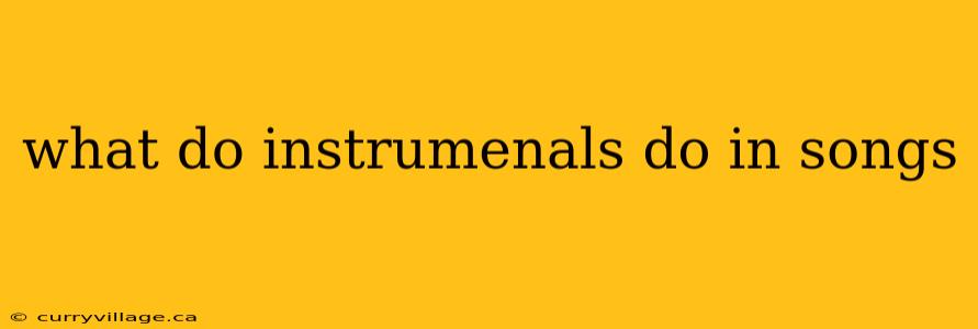 what do instrumenals do in songs