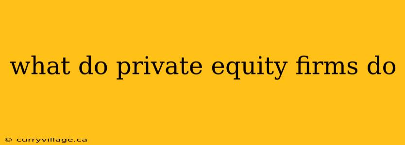 what do private equity firms do