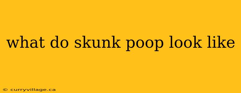 what do skunk poop look like
