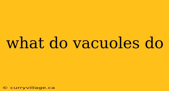 what do vacuoles do