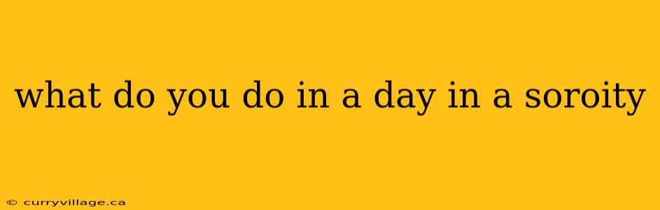 what do you do in a day in a soroity