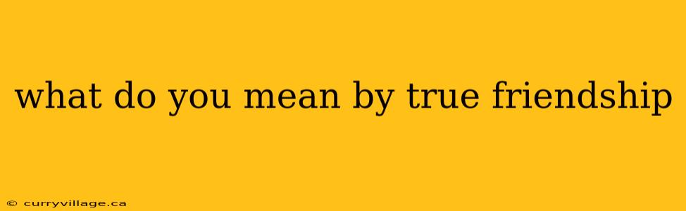 what do you mean by true friendship