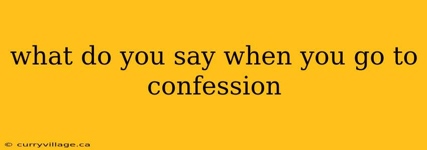 what do you say when you go to confession