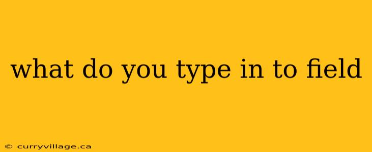 what do you type in to field