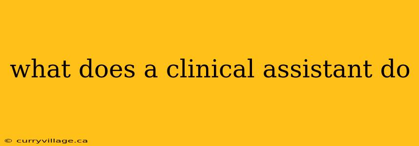 what does a clinical assistant do