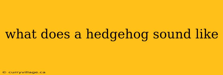 what does a hedgehog sound like
