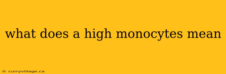 what does a high monocytes mean