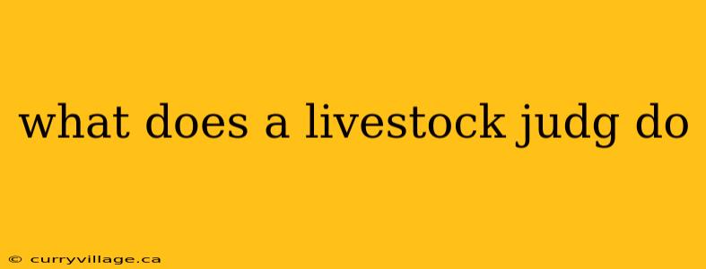 what does a livestock judg do