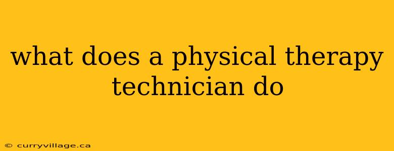 what does a physical therapy technician do
