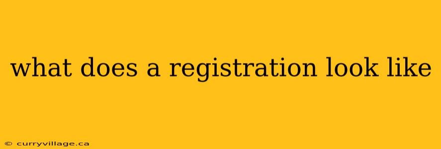 what does a registration look like