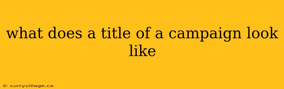 what does a title of a campaign look like