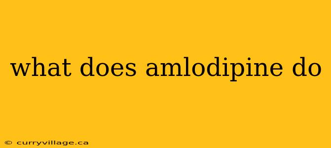 what does amlodipine do