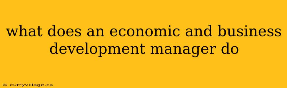 what does an economic and business development manager do