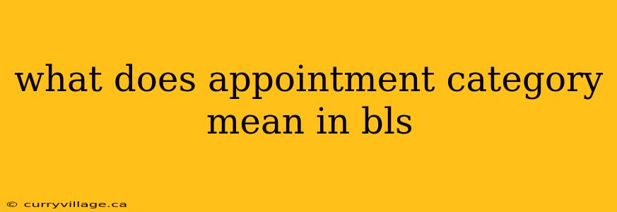 what does appointment category mean in bls