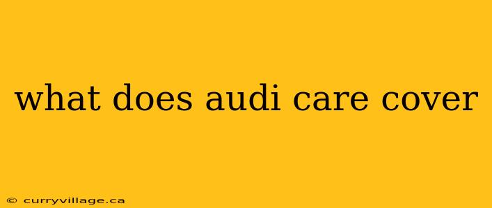 what does audi care cover