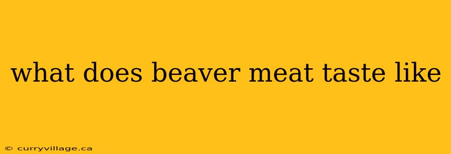 what does beaver meat taste like