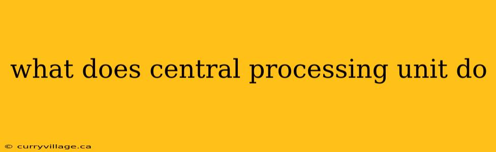 what does central processing unit do