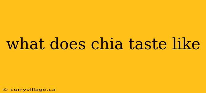 what does chia taste like