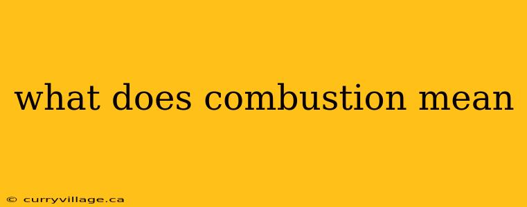 what does combustion mean