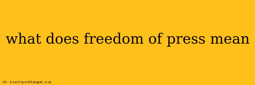 what does freedom of press mean