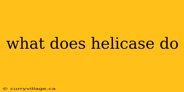 what does helicase do