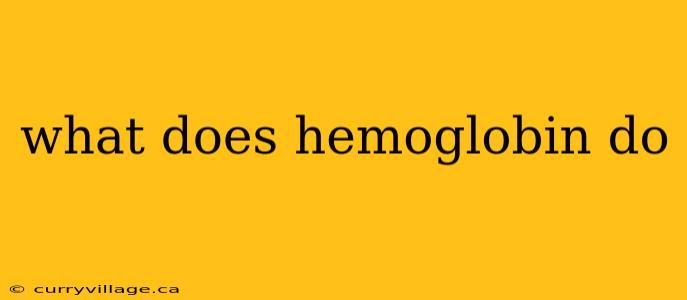 what does hemoglobin do