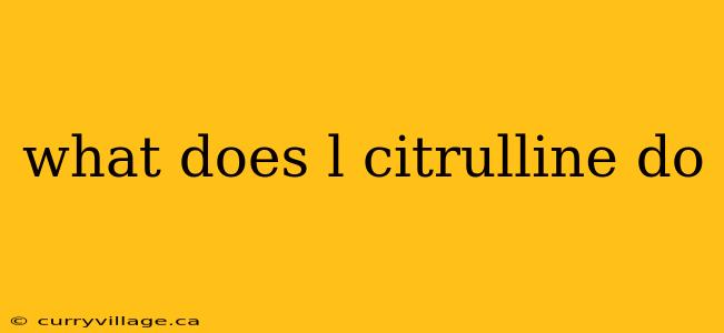 what does l citrulline do