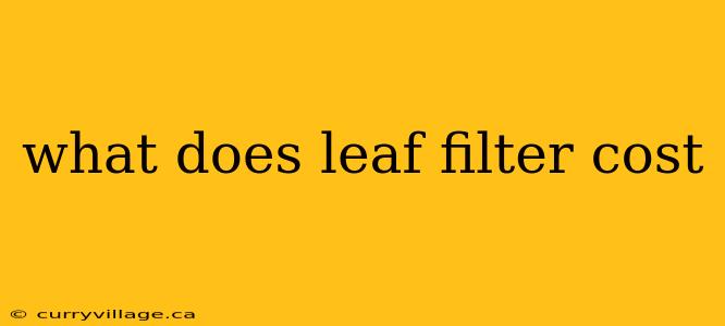 what does leaf filter cost