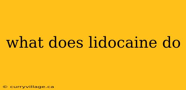 what does lidocaine do