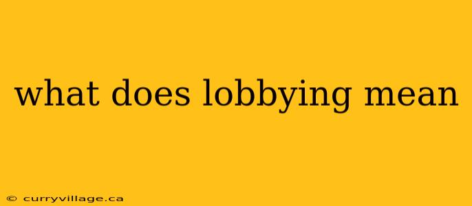what does lobbying mean