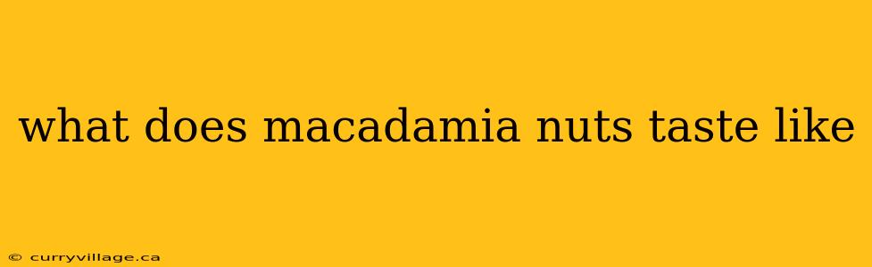 what does macadamia nuts taste like